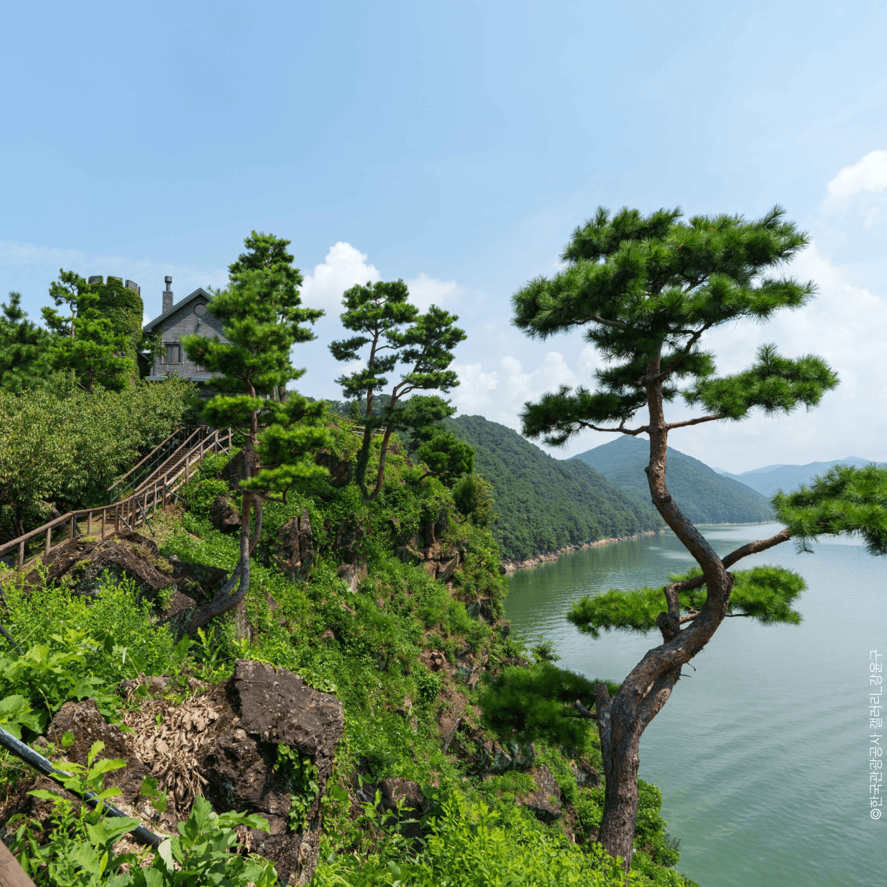 [옥천] 부소담악/천상의 정원 수생식물학습원/정지용생가/송고버섯정식