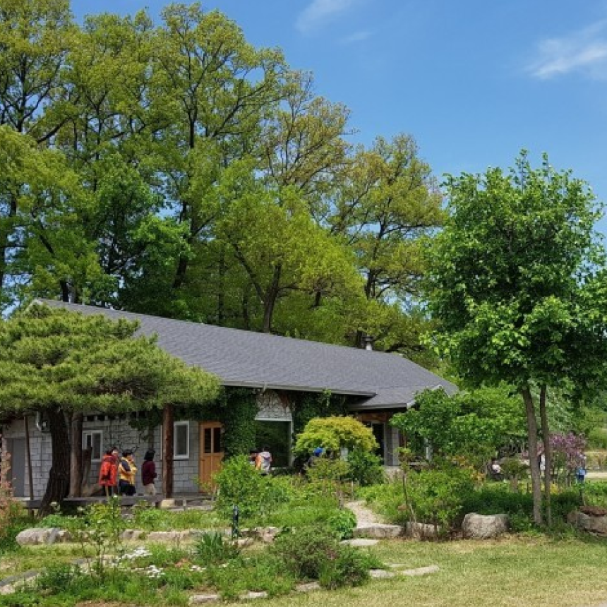 [횡성 - 목동/서초] 풍수원성당/횡성호수길/미술관자작나무숲/우엉솥밥정식