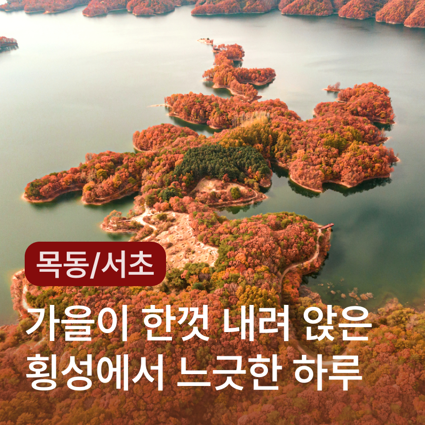 [횡성 - 목동/서초] 풍수원성당/횡성호수길/미술관자작나무숲/우엉솥밥정식