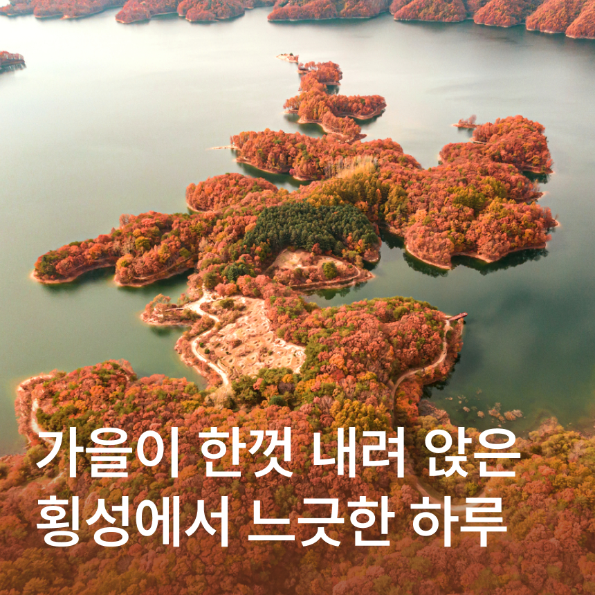 [횡성] 풍수원성당/횡성호수길/미술관자작나무숲/우엉솥밥정식