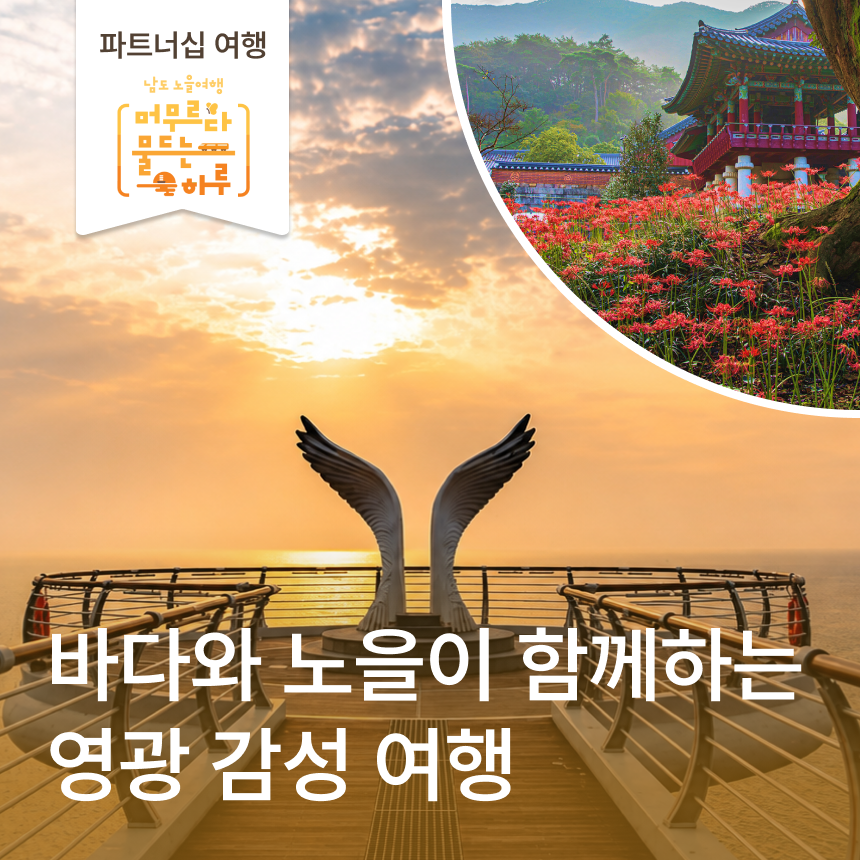 [영광] 백수해안도로 노을 산책&카페/불갑산상사화(꽃무릇)/보리굴비