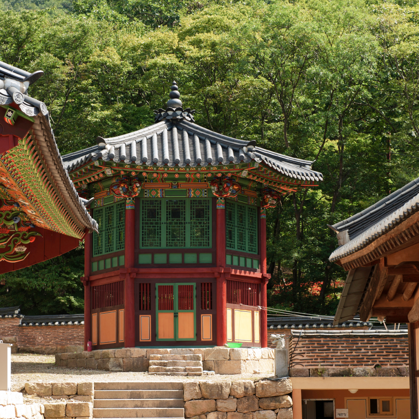 [영광함평 1박]  바다가 보이는 한옥스테이/백제최초불교도래지/백수해안도로카페/맨발황톳길 /함평전통해수찜/국화꽃차만들기/불갑사