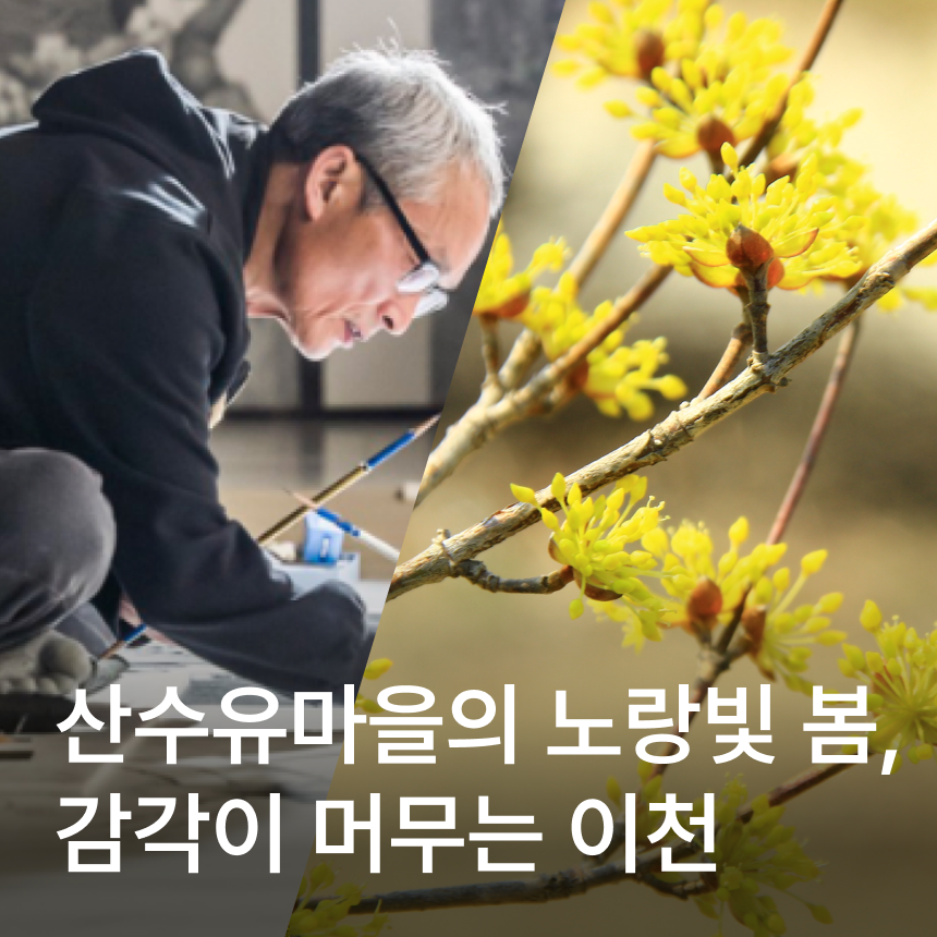 [이천] 이천산수유마을/라드라비(이상일 디자이너 공간)/토시살or박대구이 정식