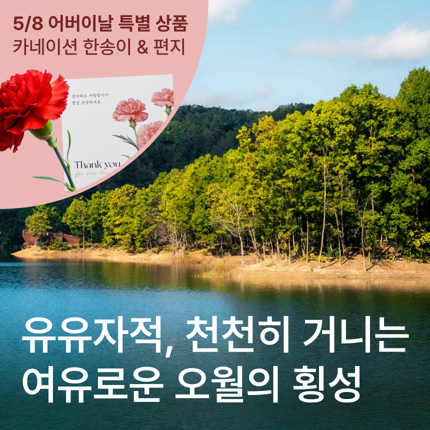 [횡성] 가정의달-횡성호수길/미술관자작나무숲/우엉영양솥밥정식