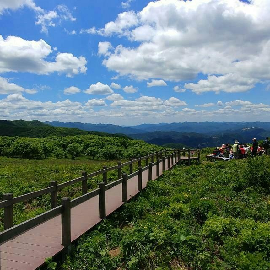 [인제] 곰배령/천상의화원/약초족욕체험/산채나물뷔페