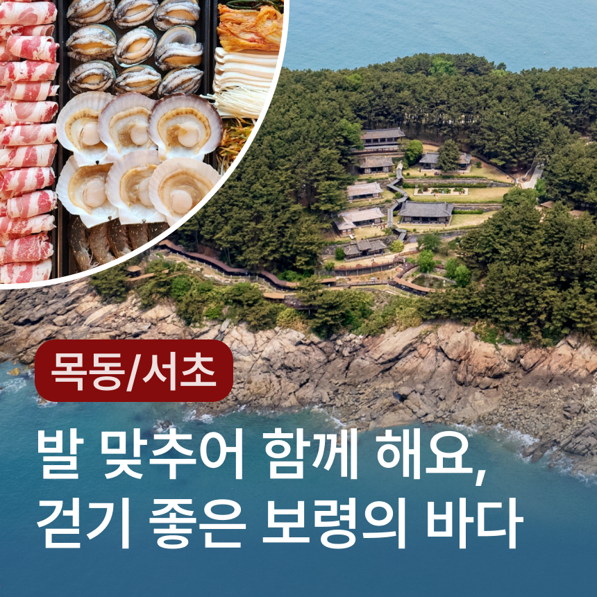 [보령-목동/서초] 죽도 상화원/해물삼합(전복,가리비,관자,차돌박이)/성주산 자연휴양림/대천해수욕장