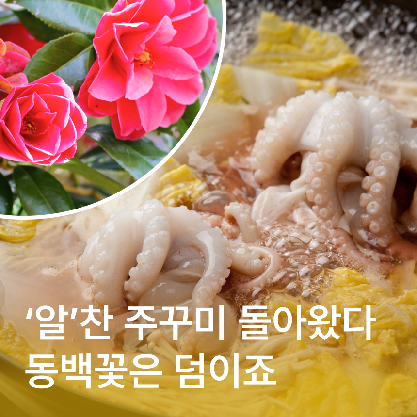 [서천] 서해맛기행/주꾸미샤브샤브/마량리 동백나무숲/장항스카이워크/군산근대화거리