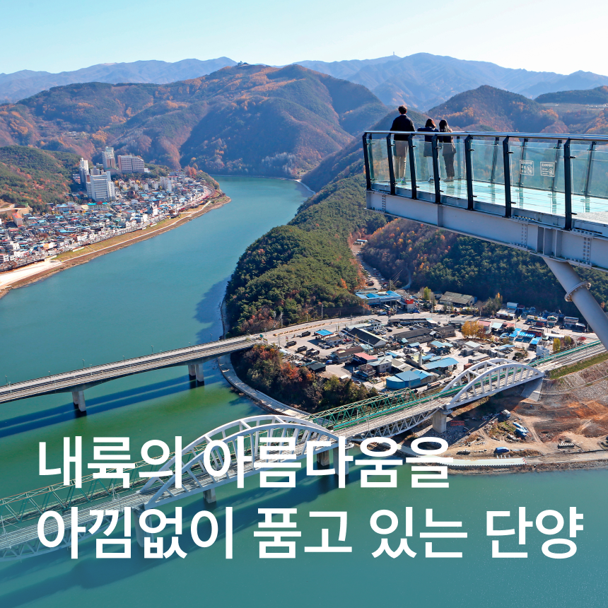 [단양] 남한강잔도길/만천하스카이워크/마늘코다리찜/도담삼봉/충주호유람선