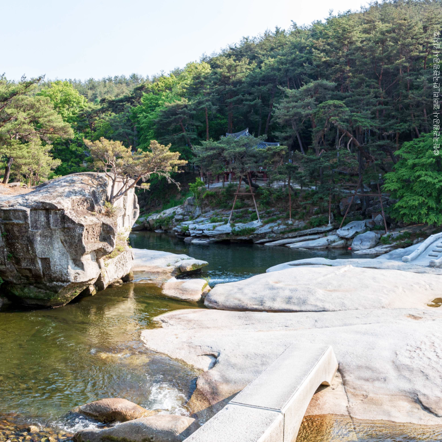 [거창] 덕천서원 벚꽃/수승대/한옥 카페/임불마을 수양벚꽃