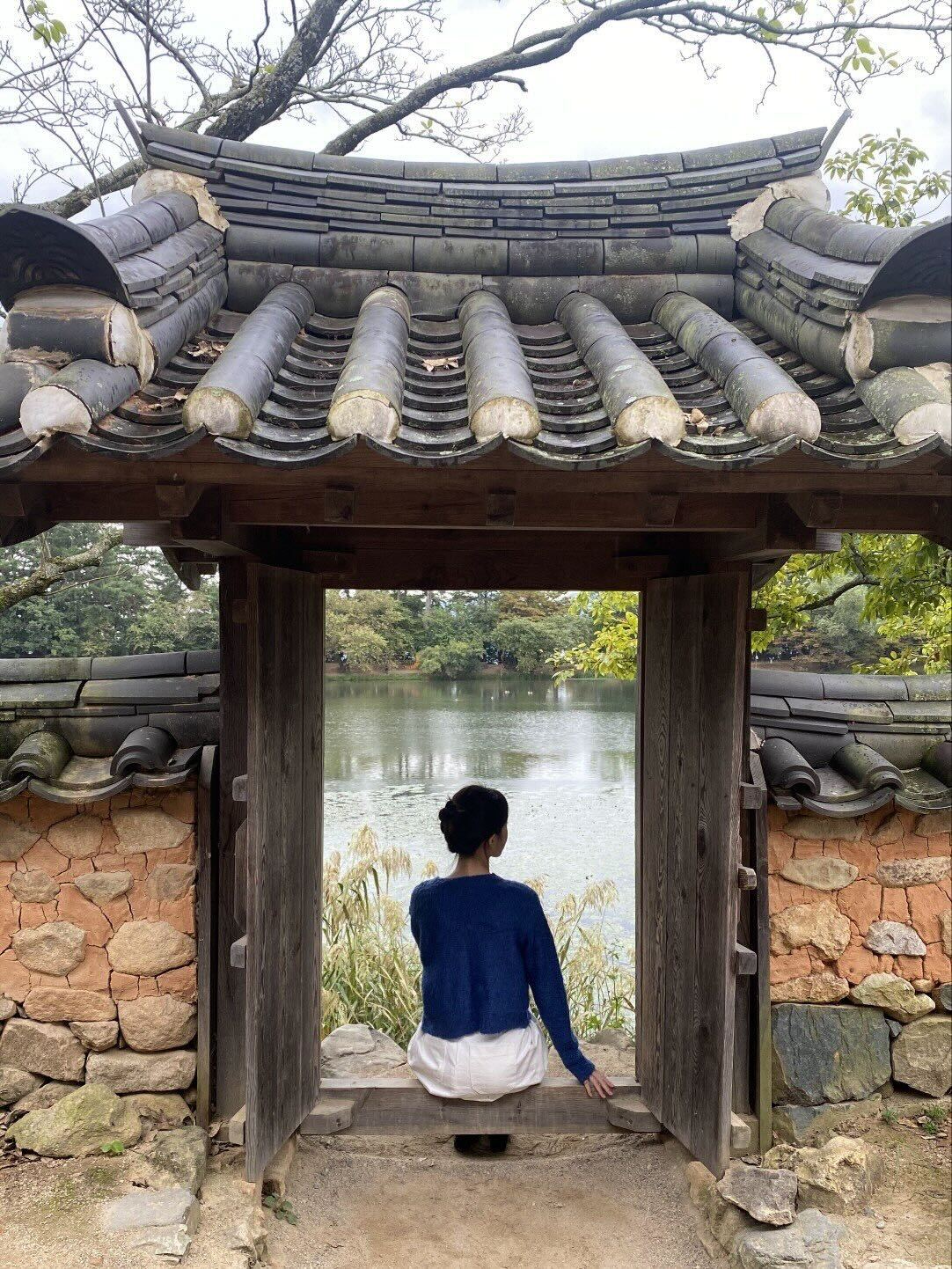 [밀양] 위양지 이팝나무/표충사/도자기카페/더덕구이정식