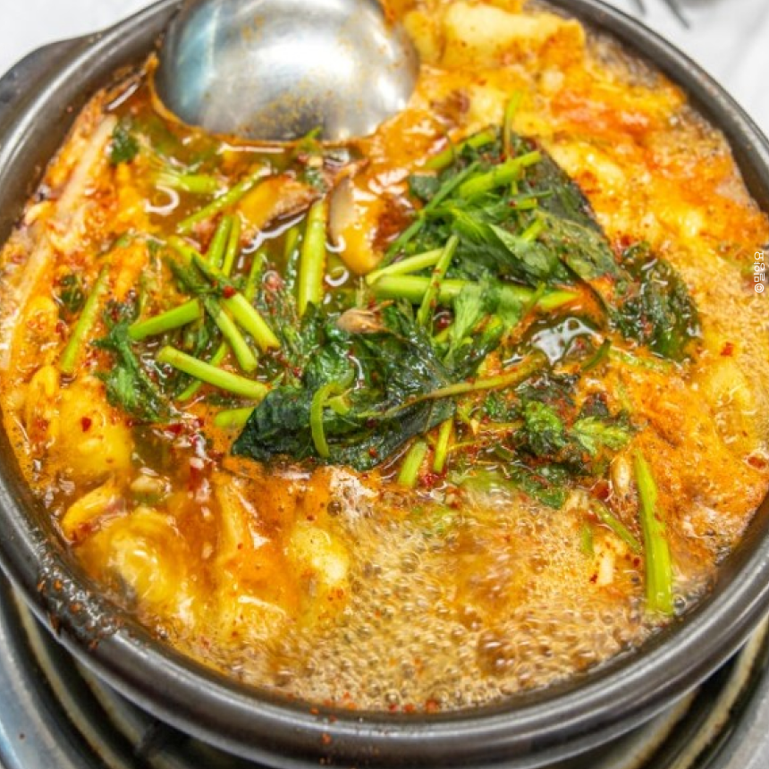 [합천] 작약축제/핫들생태공원/해인사/메기탕