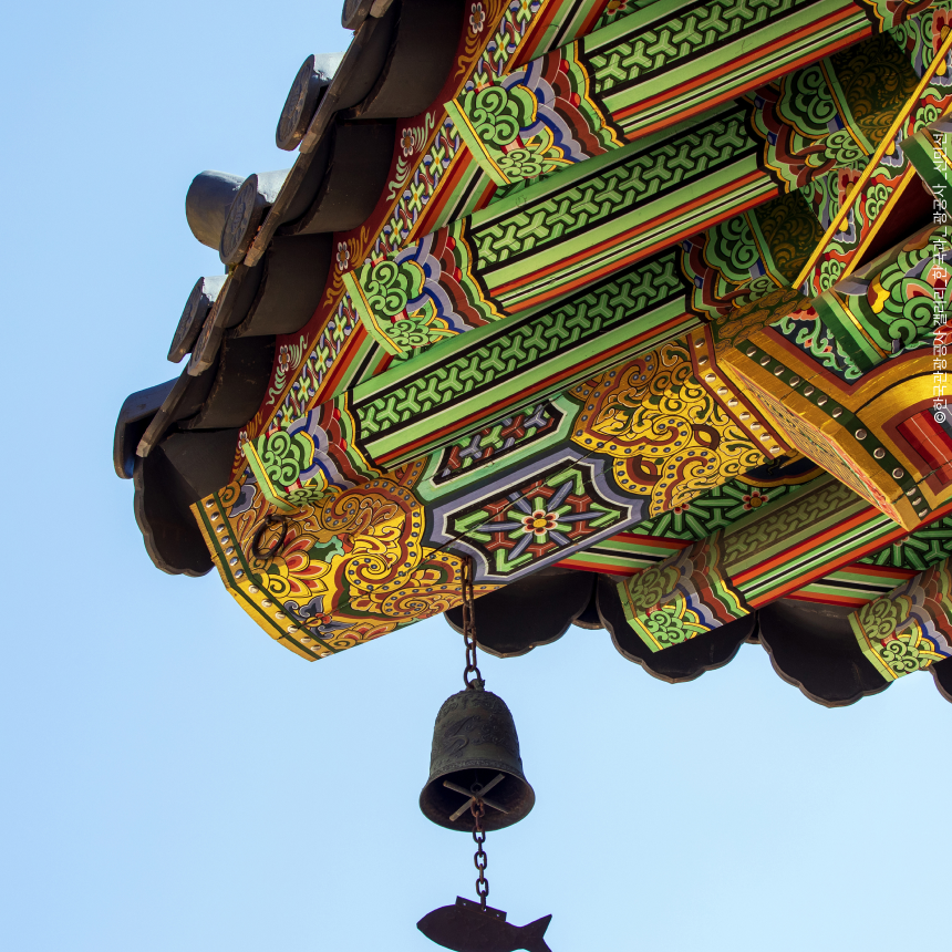 [합천] 작약축제/핫들생태공원/해인사/메기탕