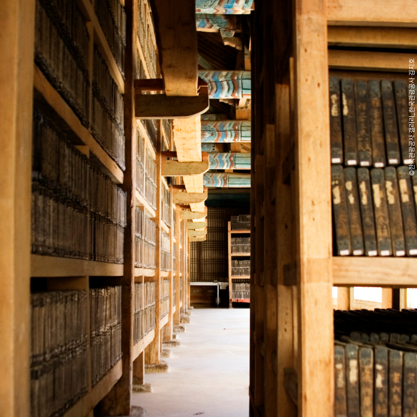 [합천] 작약축제/핫들생태공원/해인사/메기탕