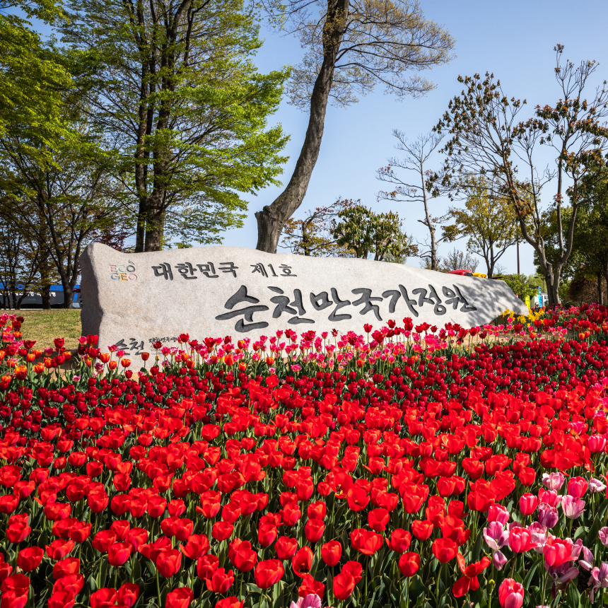 [순천 1박] 순천만국가정원/순천만습지/낙안읍성/송광사/남도수라상/꼬막정식/여수꽃게장