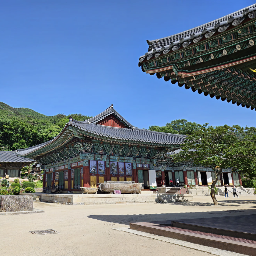 [순천 1박] 순천만국가정원/순천만습지/낙안읍성/송광사/남도수라상/꼬막정식/여수꽃게장