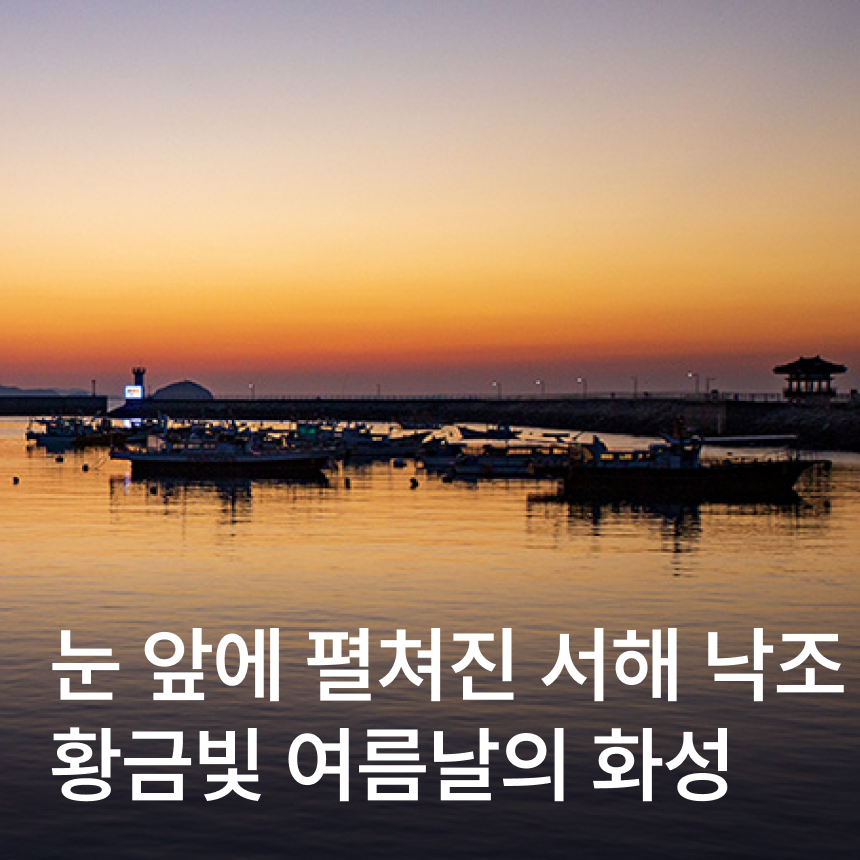 [화성] 황금해안길(국내 최대 규모 해상데크 임시개통)낙조/마리오보타 건축물 남양성모성지/매향리평화기념관/한정식