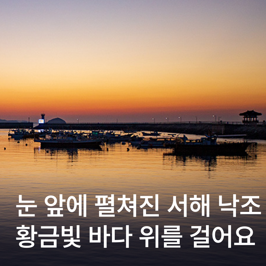 [화성] 황금해안길(국내 최대 규모 해상데크 임시개통)낙조/마리오보타 건축물 남양성모성지/매향리평화기념관/한정식