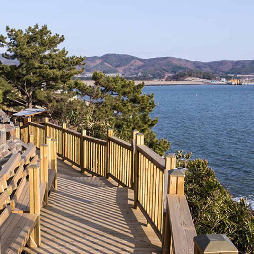 [보령-목동/서초] 죽도 상화원/해물삼합/(7/8월 한정)냉풍욕장/성주산 자연휴양림