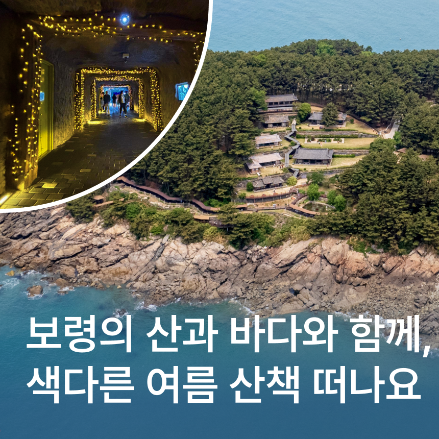 [보령] 죽도 상화원/해물삼합/(7/8월 한정)냉풍욕장/성주산 자연휴양림