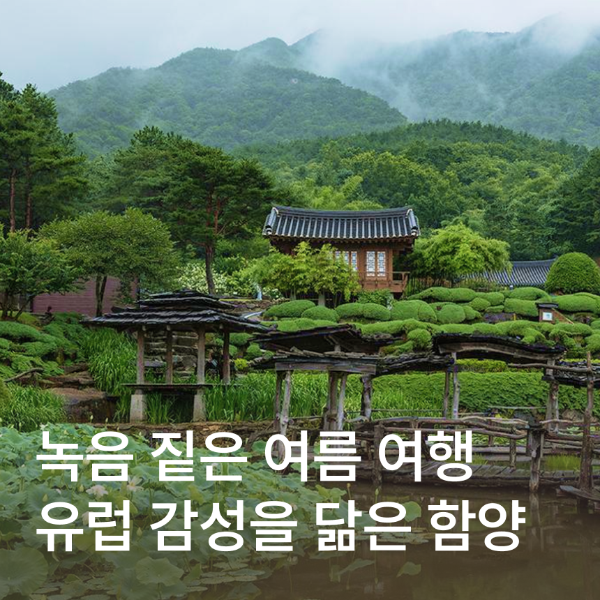 [함양] 수선사/상림공원 연꽃/하미앙 와인밸리&와인 돈까스