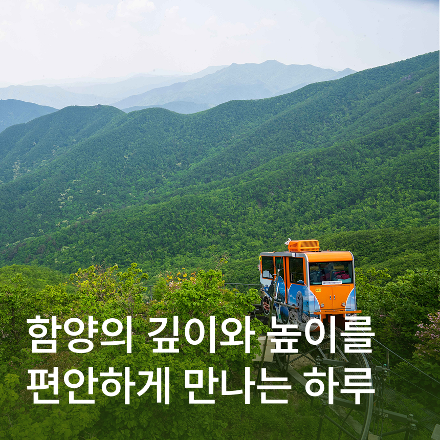 [함양] 대봉산 휴양밸리 모노레일(국내 최장길이)/석굴법당 서암정사/산채비빔밥&산양삼 떡갈비