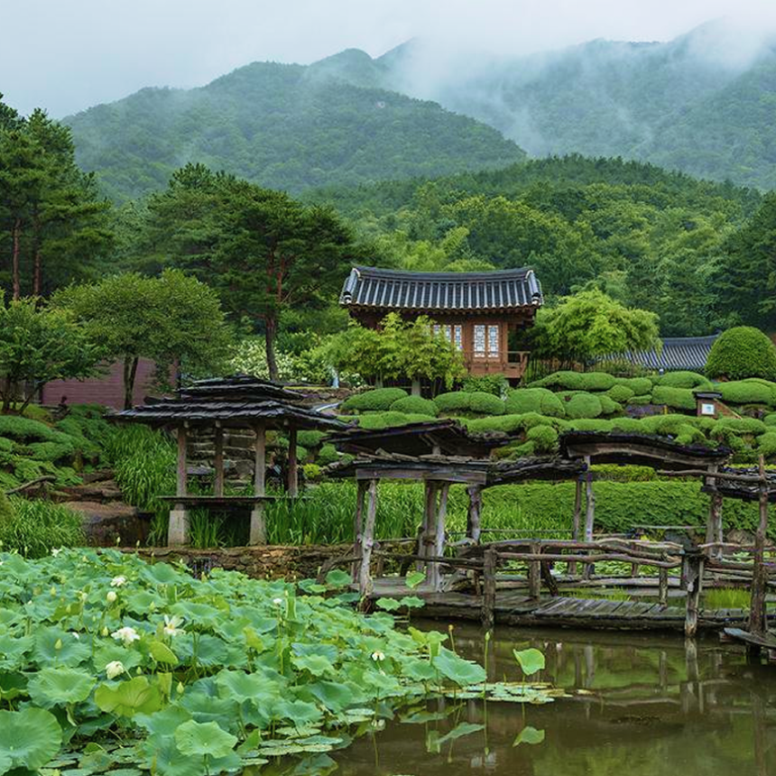 [산청 1박] 동의보감촌/공진단 만들기+왕뜸(동의보감 한의원)/한방족욕 + 티 테라피(동의본가)/무릉교&동의전/수선사/대원사 계곡길