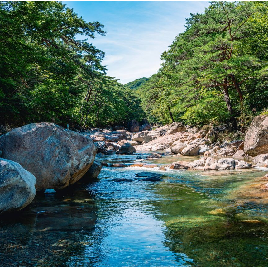 [산청 1박] 동의보감촌/공진단 만들기+왕뜸(동의보감 한의원)/한방족욕 + 티 테라피(동의본가)/무릉교&동의전/수선사/대원사 계곡길