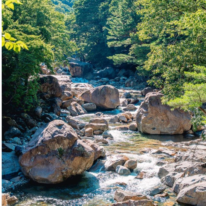 [산청 1박] 동의보감촌/공진단 만들기+왕뜸(동의보감 한의원)/한방족욕 + 티 테라피(동의본가)/무릉교&동의전/수선사/대원사 계곡길