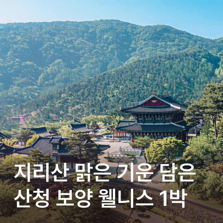 [산청 1박] 동의보감촌/공진단 만들기+왕뜸(동의보감 한의원)/한방족욕 + 티 테라피(동의본가)/무릉교&동의전/수선사/대원사 계곡길