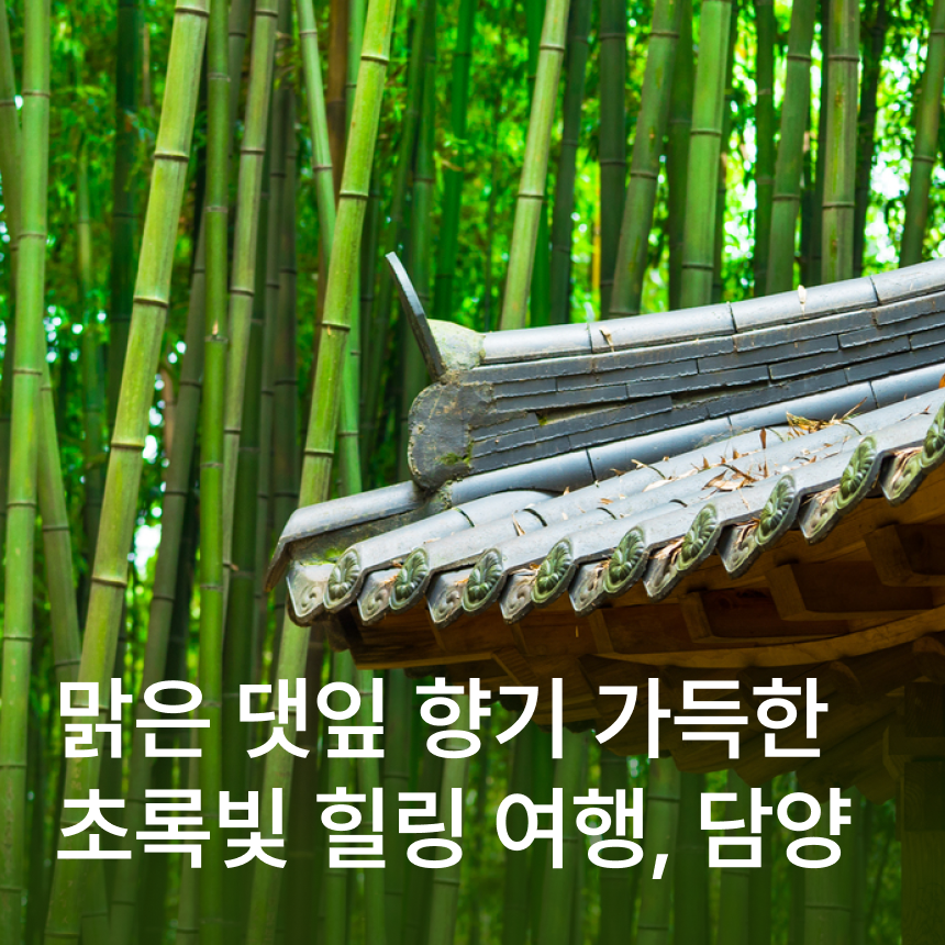 [담양] 소쇄원/죽녹원&관방제림/떡갈비 대통밥정식