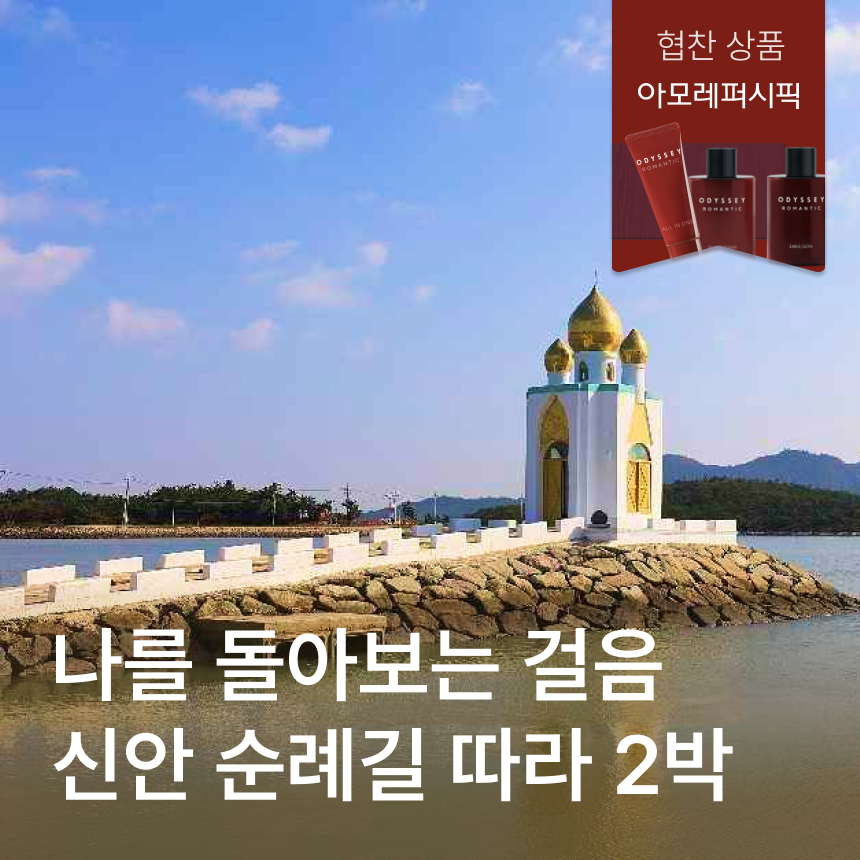 [신안 2박] 섬티아고 순례길/퍼플섬/1004뮤지엄파크/신안노을요트투어/무한의다리/1004섬뮤지엄파크/낙지코스요리