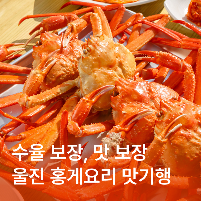 [울진] 맛기행 홍게무한리필/죽변해안스카이레일