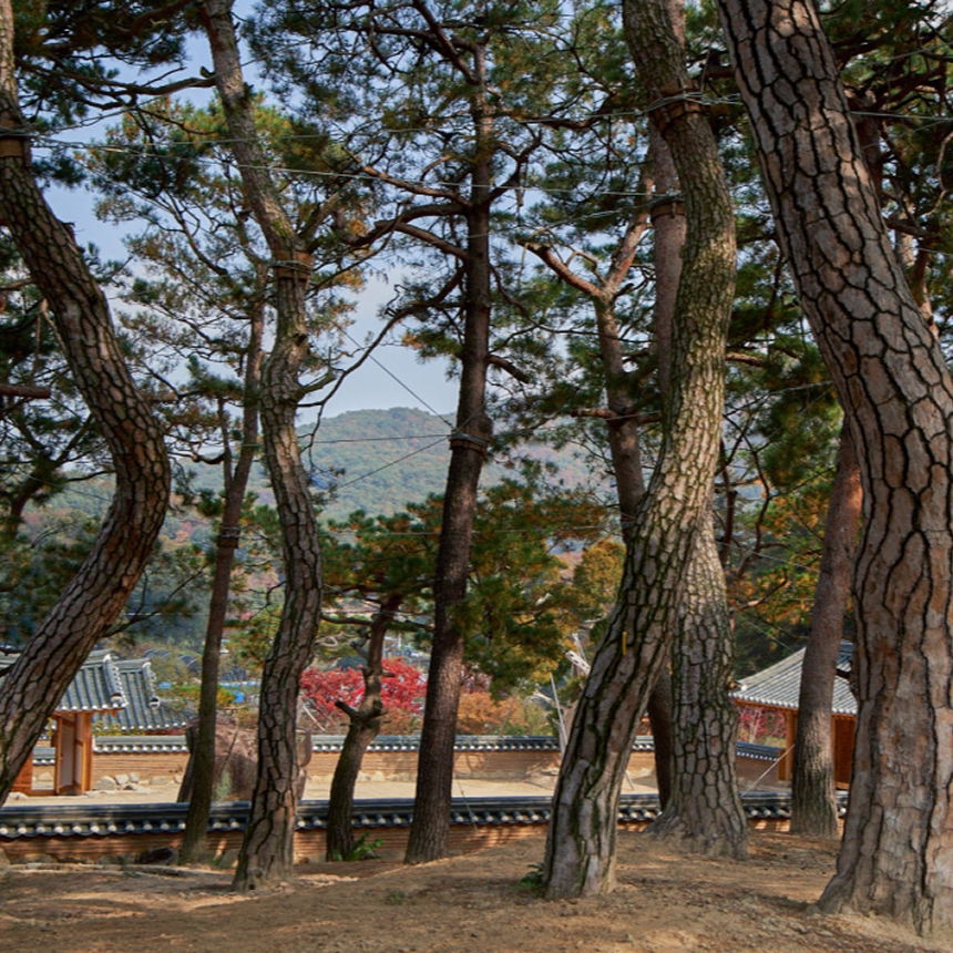 [양평] 메덩골정원/프라이빗도슨트/한정식